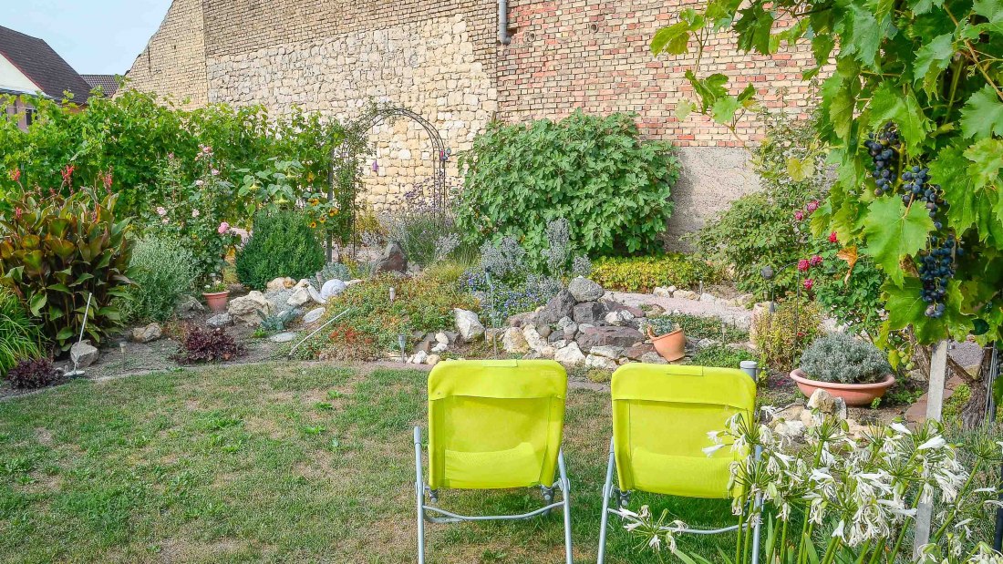 Pfaff-Weine tuin internet, &copy; PFAFF WEINE