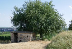 Liebesnet &copy; Michael Jung