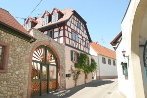 Hofreite Metternich, &copy; Daniel G&ouml;ttert