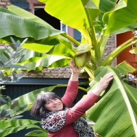 GB-Ferienhaus-10-768x815