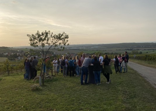 Weingut Gustavshof