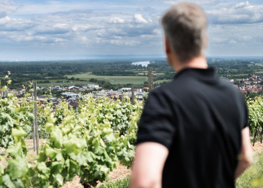 Fr&uuml;hjahrsweinprobe Weingut Martinshof &copy; Weingut Martinshof
