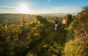 Rheingaublick © Dominik Ketz