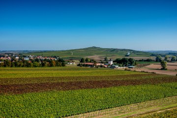 Biebelnheimer Pilgerstein  DJI_0055