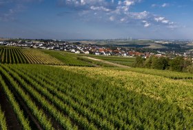 Nieder-Olmer Klosterberg