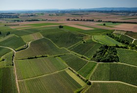 Gau-Bischofsheimer Glockenberg