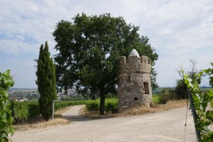 Vineyard cottage
