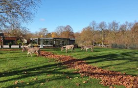 Tiergartenschule (Au&szlig;enansicht) &copy; Tiergarten