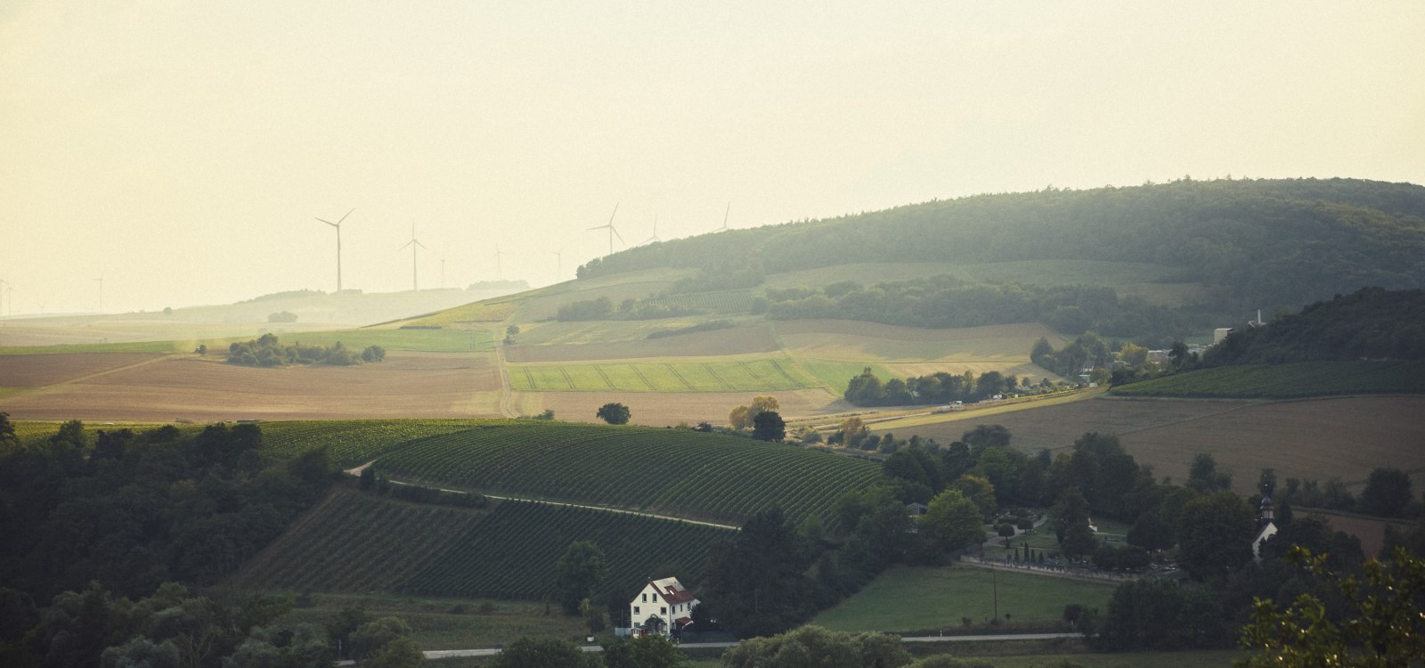 Steitz_RheinhessischeSchweiz©peterbender_541, © Peter Bender