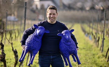 Blaue Schaf mit Kristian Dautermann