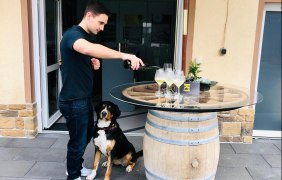 Weingut Lindenhof Kr&ouml;hler Dexheim &copy; Weingut Lindenhof Kr&ouml;hler