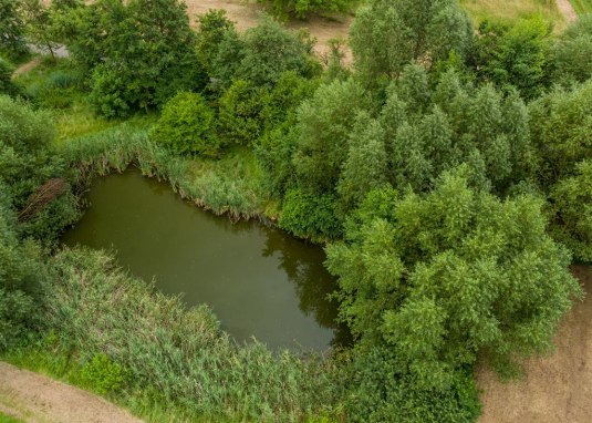 Biotop Rohrwiesen &copy; Dominik Ketz
