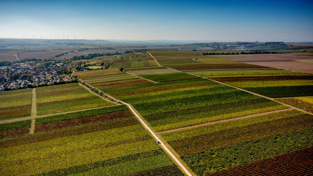 Biebelnheimer Pilgerstein