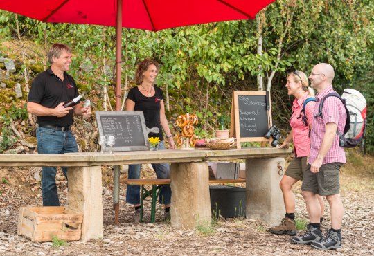 Wanderpaar bei einer Weinwanderung in Rheinhessen 2025