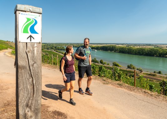 rheinhessen-2020-435 © Dominik Ketz