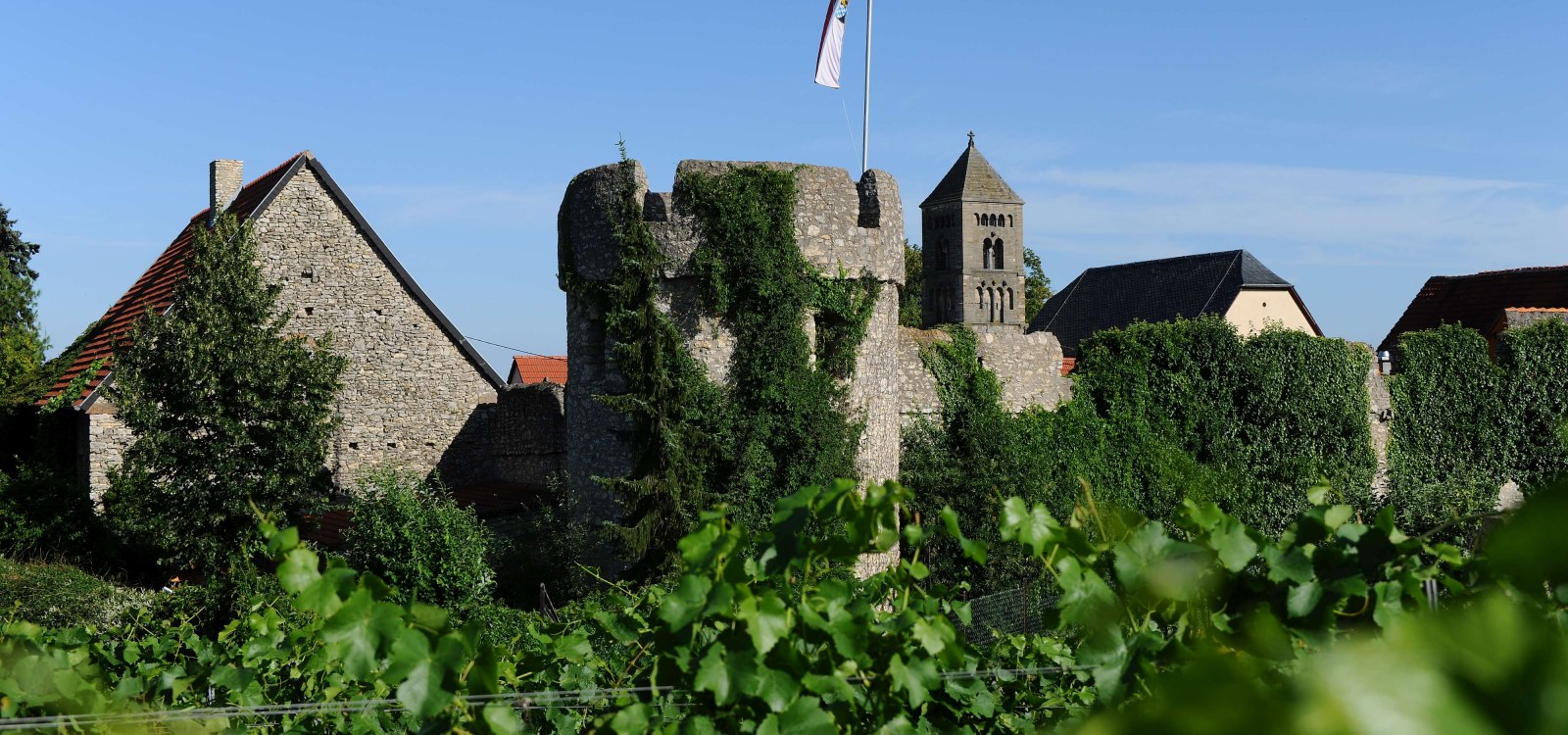 Fleckenmauer in Fl&ouml;rsheim-Dalsheim (C) Carsten Costard