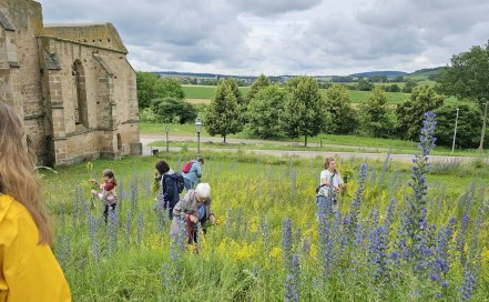 Die Kr&auml;uter in voller Pracht vor der Beller Kirche, &copy; Marina Noble