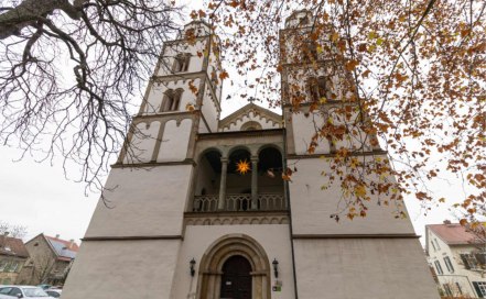 Winterwandern auf dem Rheinterrassenweg