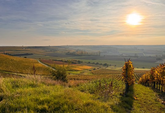 Herbstvibes auf der Hiwweltour Stadecker Warte, © Katja Zentel