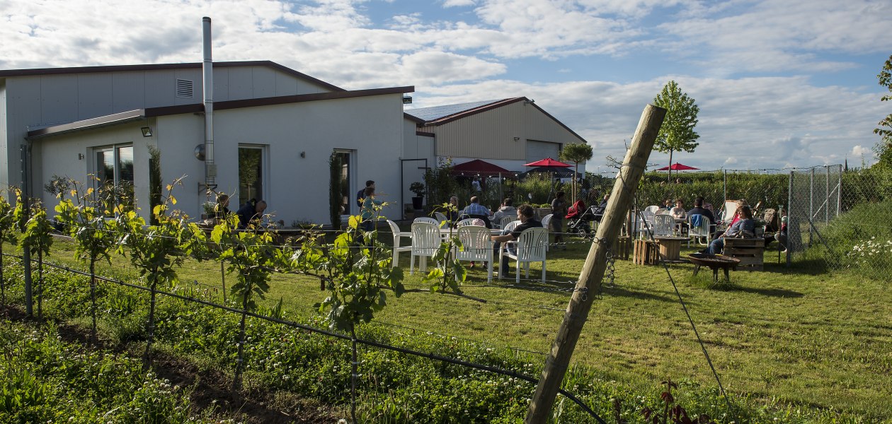 &copy; Weingut Kiefer