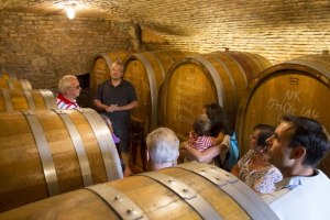 Weingut Helmut Best_Keller, © Weingut Helmut Best