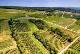 Horrweiler Gewürzgärtchen