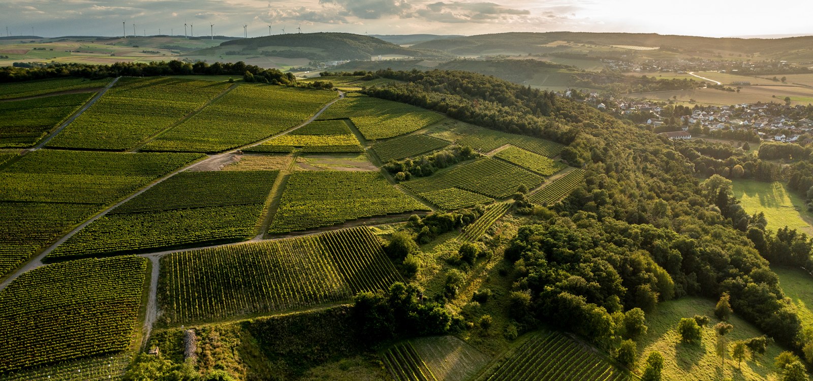 Siefersheimer H&ouml;llberg