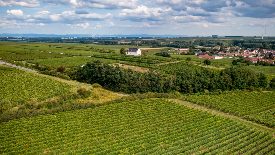 Abenheimer Klausenberg, © Torsten Silz