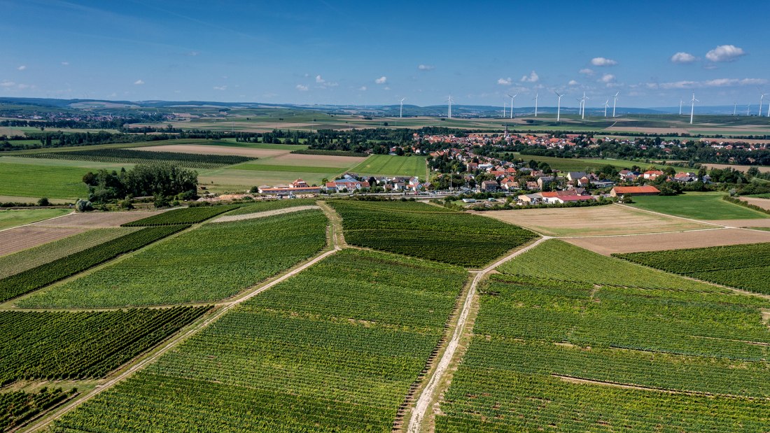Armsheimer Goldstückchen
