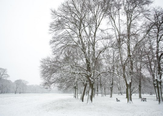 Es hat geschneit im Wormser Wäldchen © Bernward Bertram