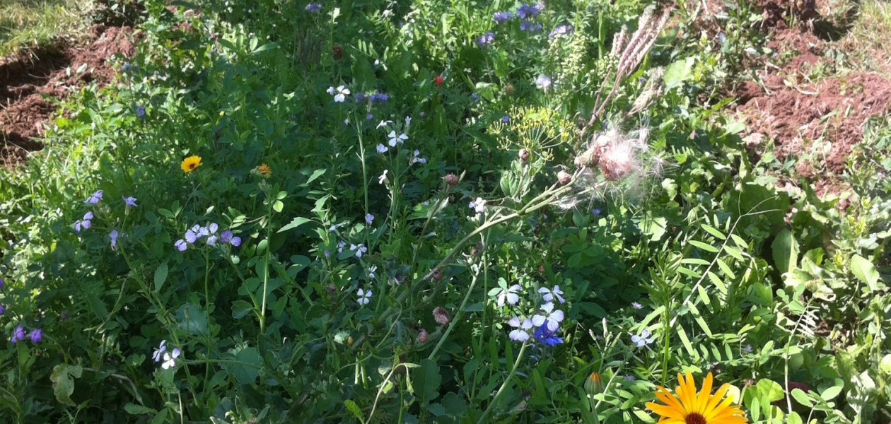 &copy; Weingut Steinm&uuml;hle