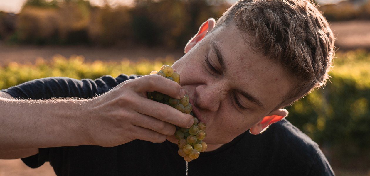 Jan 4, &copy; Weingut Kaltenthaler