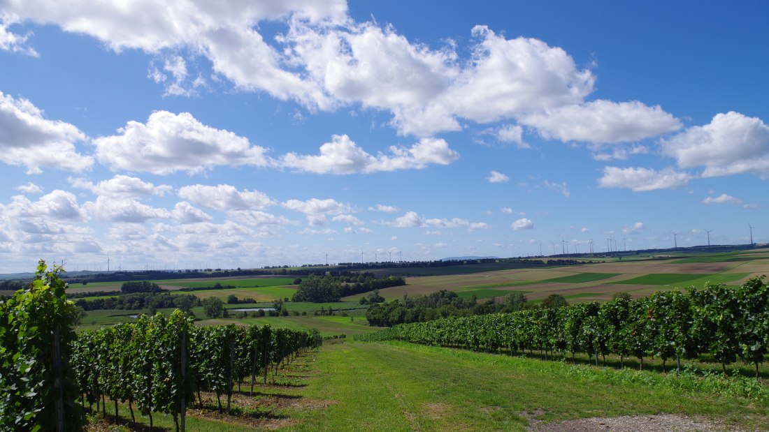 04_weinberge, &copy; Weingut Bernhard
