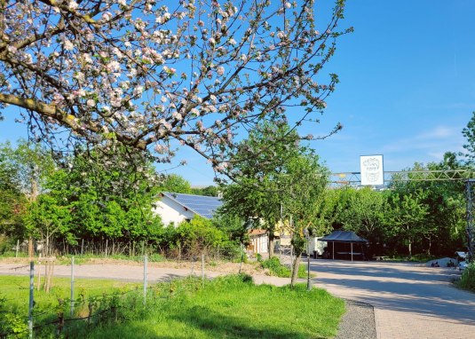 Wohmobilstellprätze Weingut Porderhof © Kirsten Erdmann