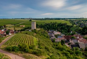 Niersteiner Schlo&szlig; Schwabsburg