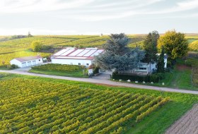 Weingut Drohnenaufnahme &copy; Weingut Kaltenthaler