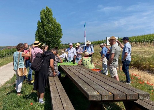Reise durch die Welt des Weines &copy; Guido Borowski