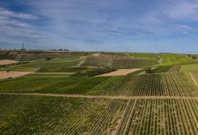 Wolfsheimer Götzenborn