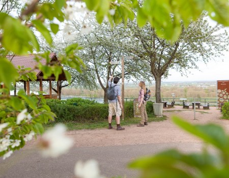 Hiking on the "Red Hang" in Nierstein, &copy; Michael Zellmer