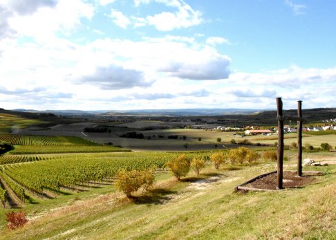 Wingertsschaukel in Wolfsheim (Wird gerade überholt, ist aber bald wieder da. Den Ausblick wollten wir euch nicht vorenthalten ; -)), © Tanja Espenschied