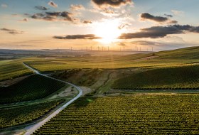 Ensheimer Kachelberg