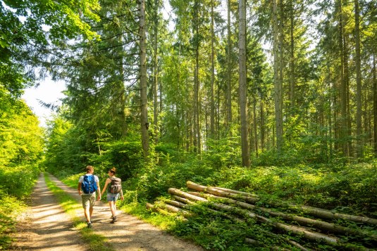 Vorholz, &copy; Dominik Ketz