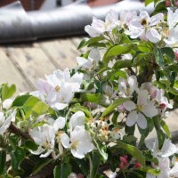 GB-Ferienhaus-7-768x511