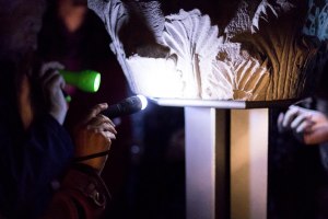 _MG_8653-2 TLF Kapitell