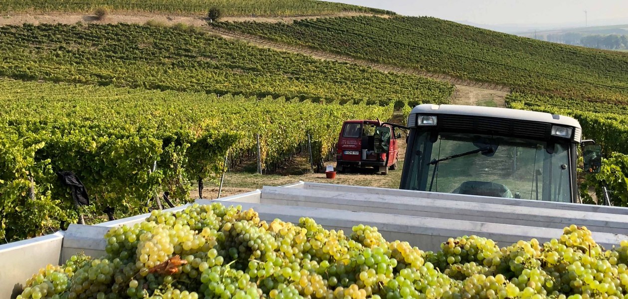 &copy; Ch.W. Bernhard