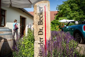 Willkommen im Weingut Br&uuml;der Dr. Becker, &copy; Weingut Br&uuml;der Dr. Becker