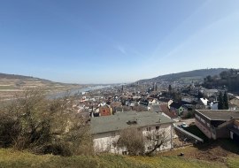 WhatsApp Image 2026-03-07 at 11.58.02