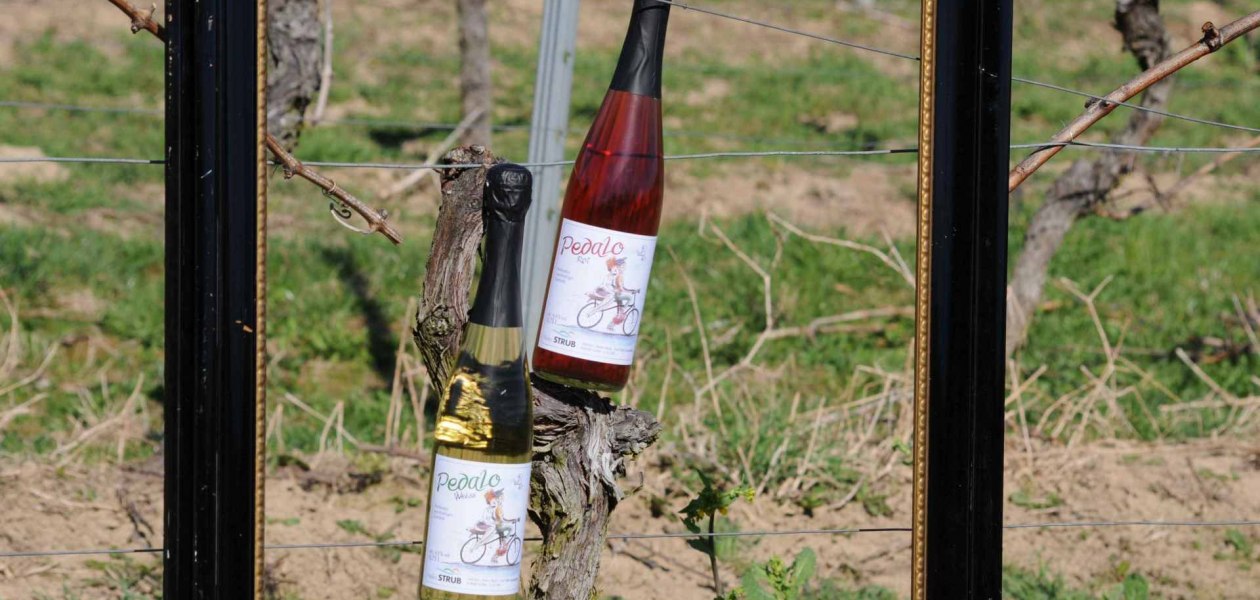 Weingut Heiko Strub_Pedalo, &copy; Weingut Heiko Strub
