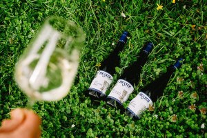 Weinprobiertage, &copy; Weingut Huster