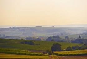 Rheinhessische Toskana Sonnenuntergang &copy; Robert Dieth
